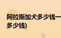 阿拉斯加犬多少钱一只幼崽纯种(阿拉斯加犬多少钱)