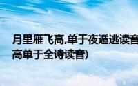 月里雁飞高,单于夜遁逃读音(月黑雁飞高单于夜遁逃中雁飞高单于全诗读音)