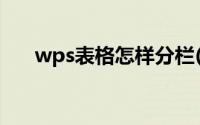 wps表格怎样分栏(wps表格怎样求和)