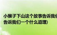 小猴子下山这个故事告诉我们做事情要(小猴子下山这个故事告诉我们一个什么道理)