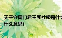 天子守国门君王死社稷是什么意思(天子守国门君王死社稷是什么意思)