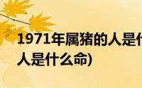 1971年属猪的人是什么星座(1971年属猪的人是什么命)