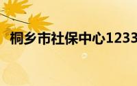 桐乡市社保中心12333(桐乡市社保局官网)