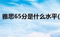 雅思65分是什么水平(雅思6 5分是什么水平)