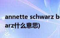 annette schwarz blow job(annette schwarz什么意思)