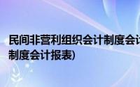 民间非营利组织会计制度会计报表格式(民间非营利组织会计制度会计报表)