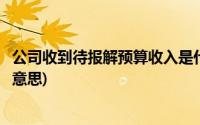 公司收到待报解预算收入是什么意思(待报解预算收入是什么意思)