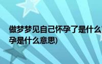 做梦梦见自己怀孕了是什么寓意(周公解梦 做梦梦见自己怀孕是什么意思)