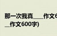 那一次我真____作文600字开头(那一次我真____作文600字)