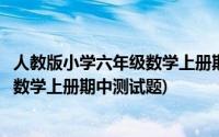 人教版小学六年级数学上册期中考试试卷(人教版小学六年级数学上册期中测试题)