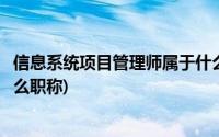 信息系统项目管理师属于什么证(信息系统项目管理师属于什么职称)