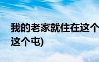 我的老家就住在这个屯原版(我的老家就住在这个屯)