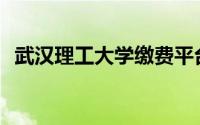 武汉理工大学缴费平台(武汉理工大学缴费)