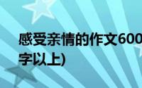 感受亲情的作文600字(感受亲情的作文600字以上)