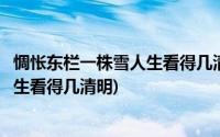 惆怅东栏一株雪人生看得几清明什么意思(惆怅东栏一株雪人生看得几清明)