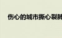 伤心的城市撕心裂肺完整版(伤心的城市)