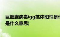 巨细胞病毒igg抗体阳性是什么病(巨细胞病毒igg抗体阳性是什么意思)