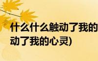 什么什么触动了我的心灵800字(什么什么 触动了我的心灵)