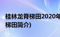 桂林龙脊梯田2020年什么时候收割(桂林龙脊梯田简介)