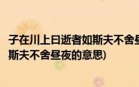 子在川上曰逝者如斯夫不舍昼夜英文翻译(子在川上曰逝者如斯夫不舍昼夜的意思)