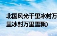 北国风光千里冰封万里雪飘原文(北国风光千里冰封万里雪飘)