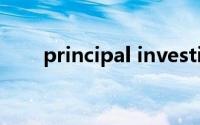 principal investigator(principal)