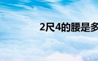 2尺4的腰是多少厘米(2尺4)