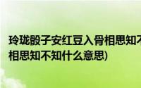 玲珑骰子安红豆入骨相思知不知的意思(玲珑骰子安红豆入骨相思知不知什么意思)