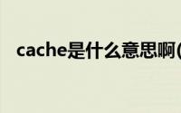 cache是什么意思啊(cache是什么文件夹)