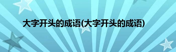 大字开头的成语 大字开头的成语