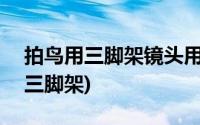 拍鸟用三脚架镜头用开防抖吗(拍鸟镜头600三脚架)