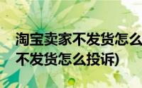 淘宝卖家不发货怎么投诉电话多少(淘宝卖家不发货怎么投诉)