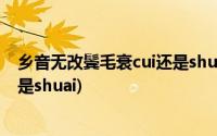 乡音无改鬓毛衰cui还是shuai怎么读(乡音无改鬓毛衰cui还是shuai)