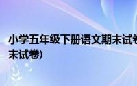 小学五年级下册语文期末试卷人教版(小学五年级下册语文期末试卷)