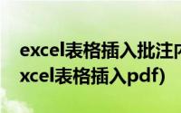 excel表格插入批注内容编辑不了怎么回事(excel表格插入pdf)