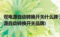 双电源自动转换开关什么牌子质量好(求推荐全球最好的双电源自动转换开关品牌)