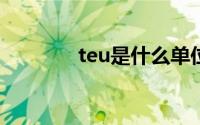 teu是什么单位(TEU是什么)