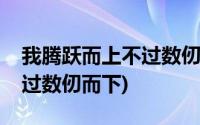 我腾跃而上不过数仞而下翻译(我腾跃而上不过数仞而下)