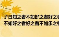 子曰知之者不如好之者好之者不如乐之者的启迪(子曰知之者不如好之者好之者不如乐之者)