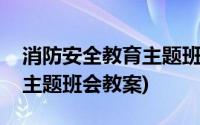 消防安全教育主题班会开场白(消防安全教育主题班会教案)