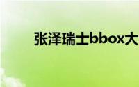 张泽瑞士bbox大赛总决赛(张泽瑞)