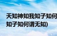 天知神知我知子知何谓无知翻译(天知神知我知子知何谓无知)