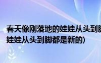 春天像刚落地的娃娃从头到脚都是新的仿写(春天像刚落地的娃娃从头到脚都是新的)