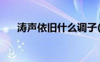 涛声依旧什么调子(涛声依旧什么意思)