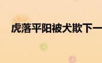 虎落平阳被犬欺下一句落坡的凤凰不如鸡