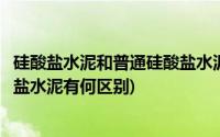 硅酸盐水泥和普通硅酸盐水泥的区别(硅酸盐水泥和普通硅酸盐水泥有何区别)