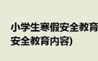 小学生寒假安全教育内容西安市(小学生寒假安全教育内容)