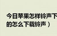 今日苹果怎样铃声下载（苹果手机4.3.5版本的怎么下载铃声）