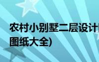 农村小别墅二层设计图 图纸(农村二层小别墅图纸大全)