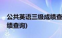 公共英语三级成绩查询官网(公共英语三级成绩查询)